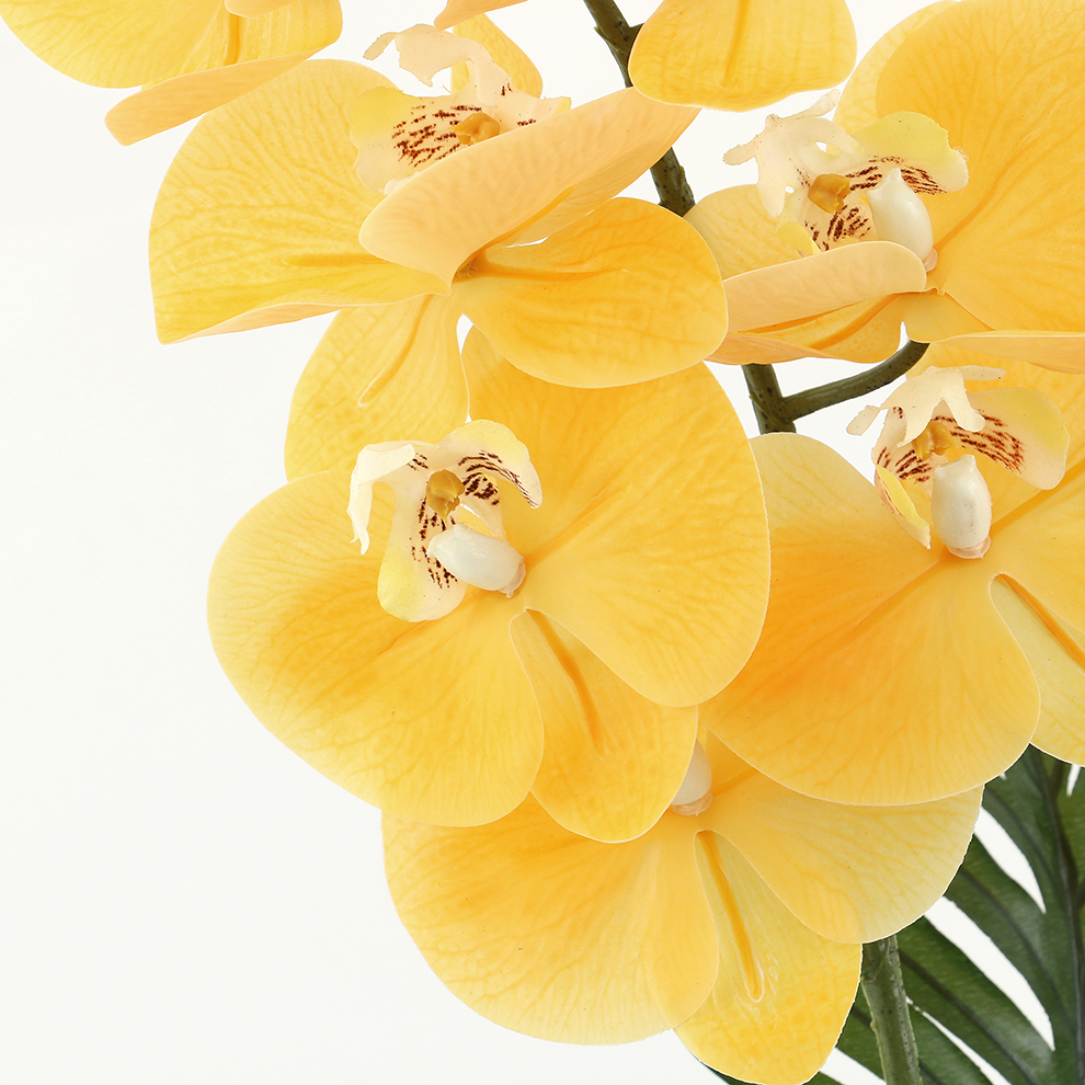 新款现货陶瓷盆仿真蝴蝶兰 橱窗桌面摆件装饰                                       详情1