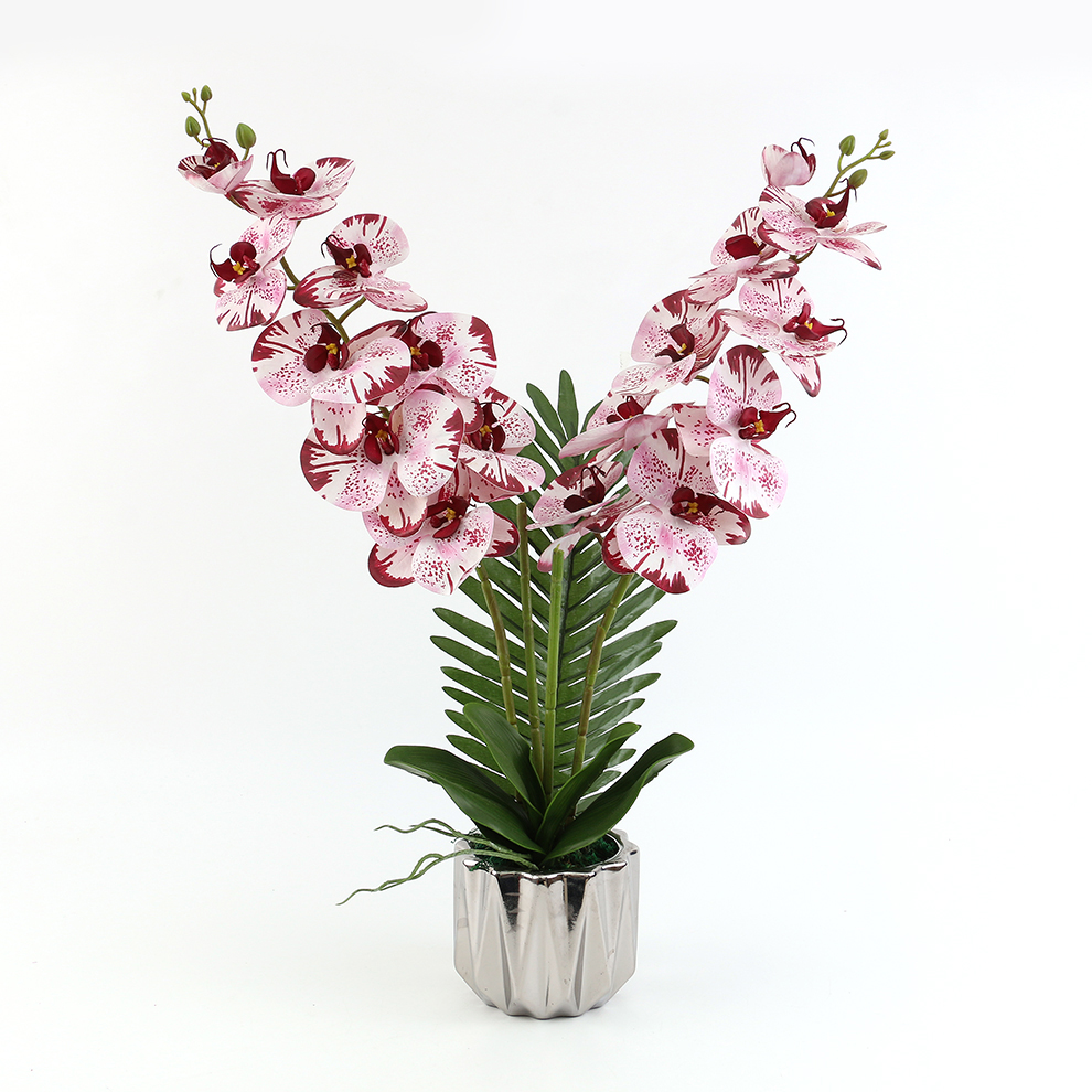 新款现货陶瓷盆仿真蝴蝶兰 橱窗桌面摆件装饰                                       详情7