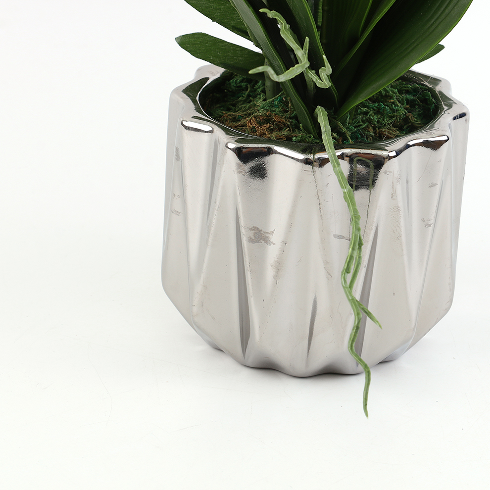 新款现货陶瓷盆仿真蝴蝶兰 橱窗桌面摆件装饰                                       详情5