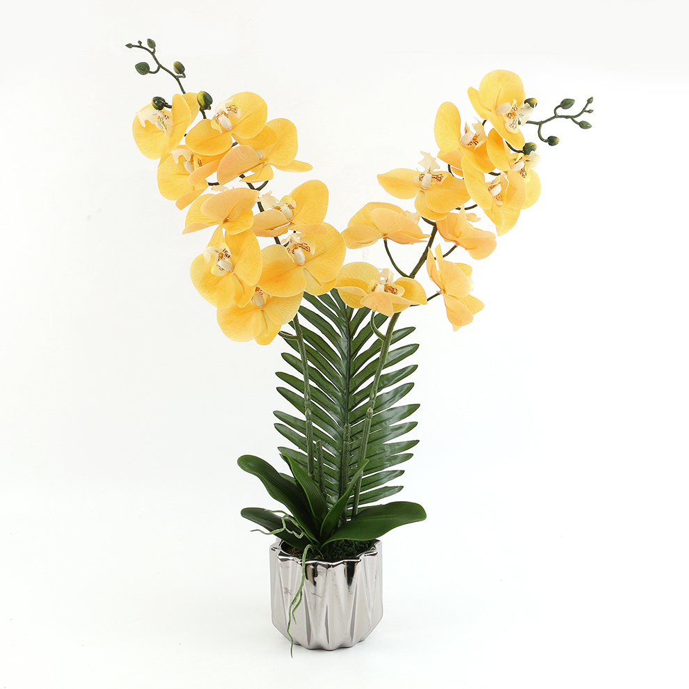 新款现货陶瓷盆仿真蝴蝶兰 橱窗桌面摆件装饰                                       详情6