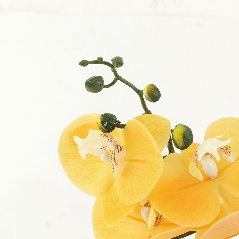 新款现货陶瓷盆仿真蝴蝶兰 橱窗桌面摆件装饰                                       详情2