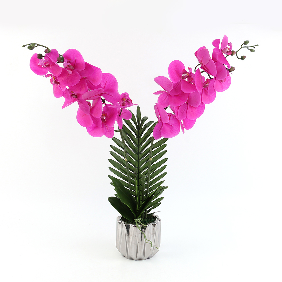 新款现货陶瓷盆仿真蝴蝶兰 橱窗桌面摆件装饰                                       详情4