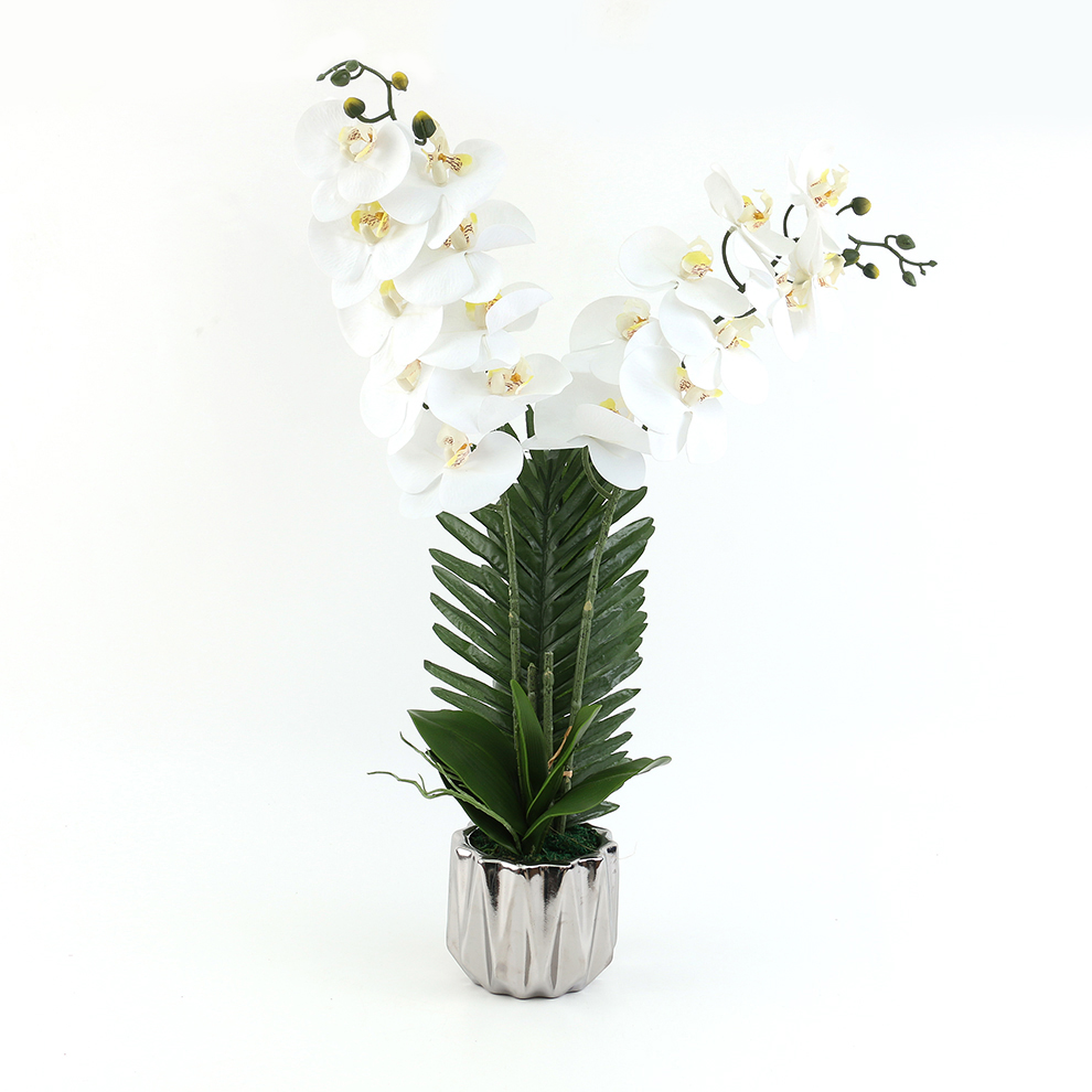 新款现货陶瓷盆仿真蝴蝶兰 橱窗桌面摆件装饰                                       详情8