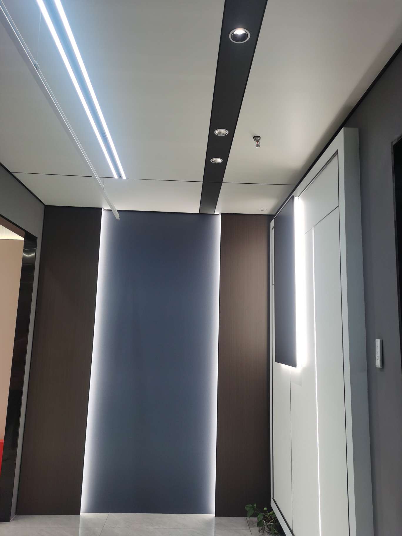 Delaibao ceiling and wall describe pic - 5