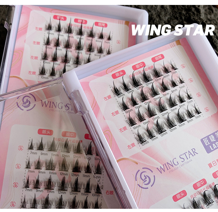 WS纯欲小恶魔白月光假睫毛分段式纯欲小恶魔新懒人三部曲8排细梗详情17