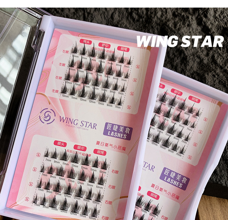 WS纯欲小恶魔白月光假睫毛分段式纯欲小恶魔新懒人三部曲8排细梗详情18