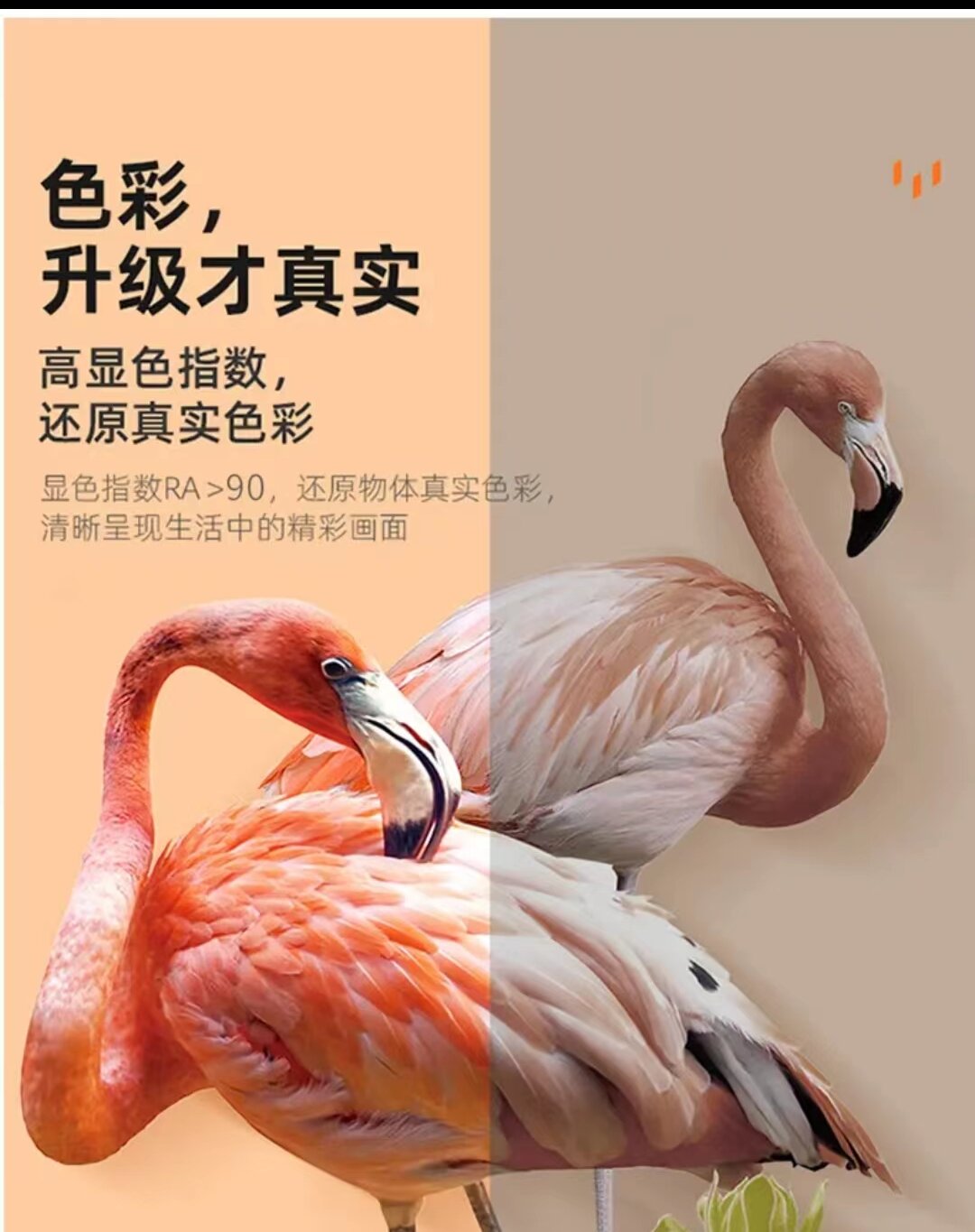 Krotti科伦蒂太阳花系列-3D打印式简约现代网红个性吸顶灯详情15