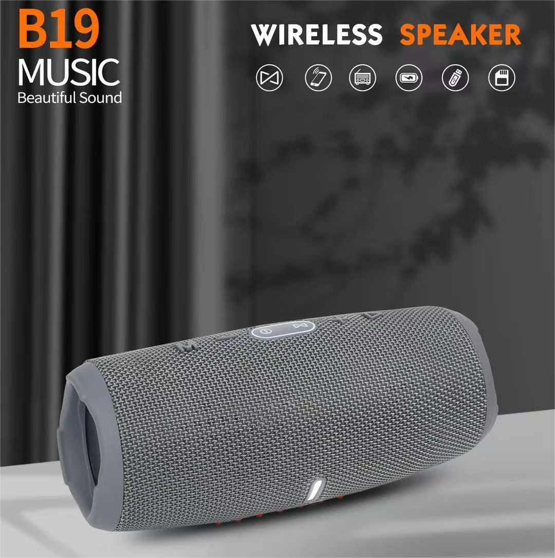 CHRACE 5 (B19) 系列便携式音箱蓝牙无线音响收音机详情3