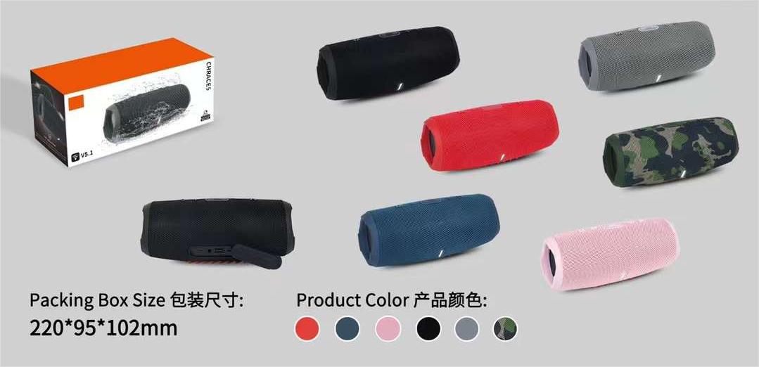 CHRACE 5 (B19) 系列便携式音箱蓝牙无线音响收音机详情5