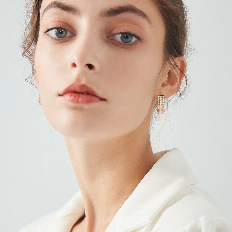 Korean Style Fashion Exquisite Fresh Micro-Inset Zircon Characteristic Temperament Light Luxury High-Grade Earrings Fate Season