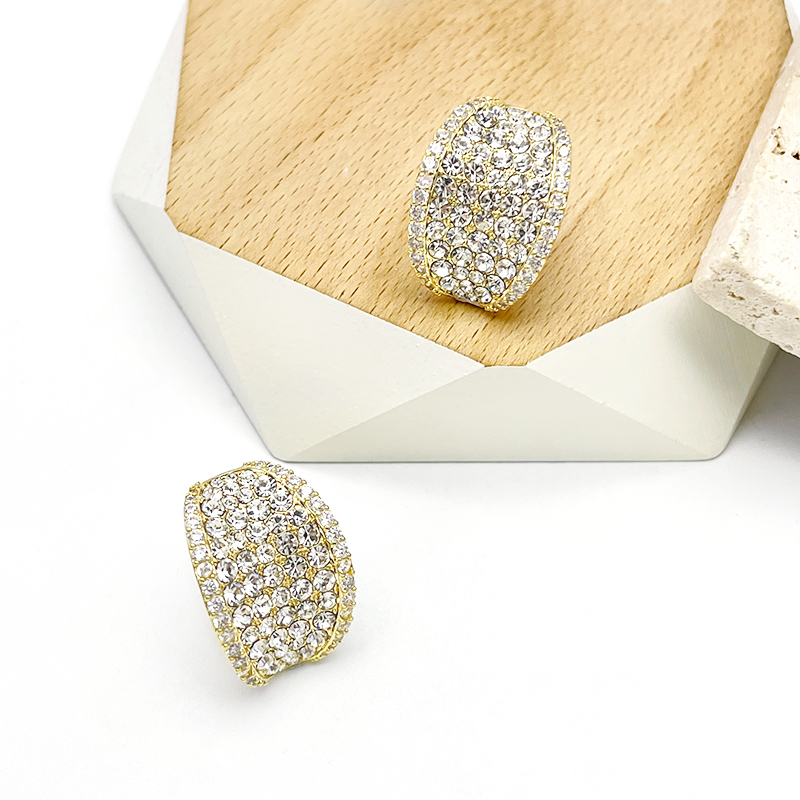 Obi new S925 silver needle earrings wholesale fashion female earrings temperament simple everything with Japanese and Korean personality Application Scenario