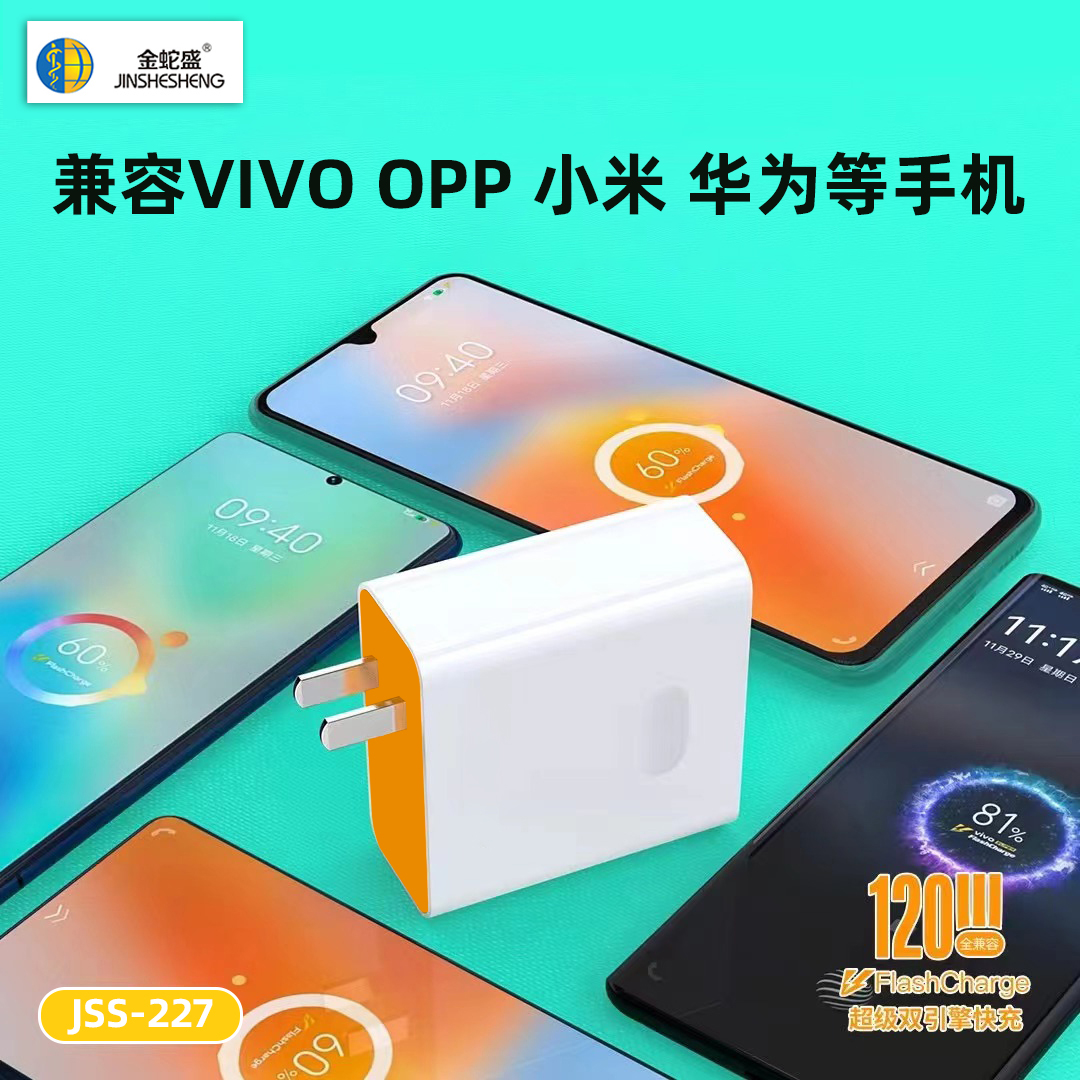 手机充电器实物图