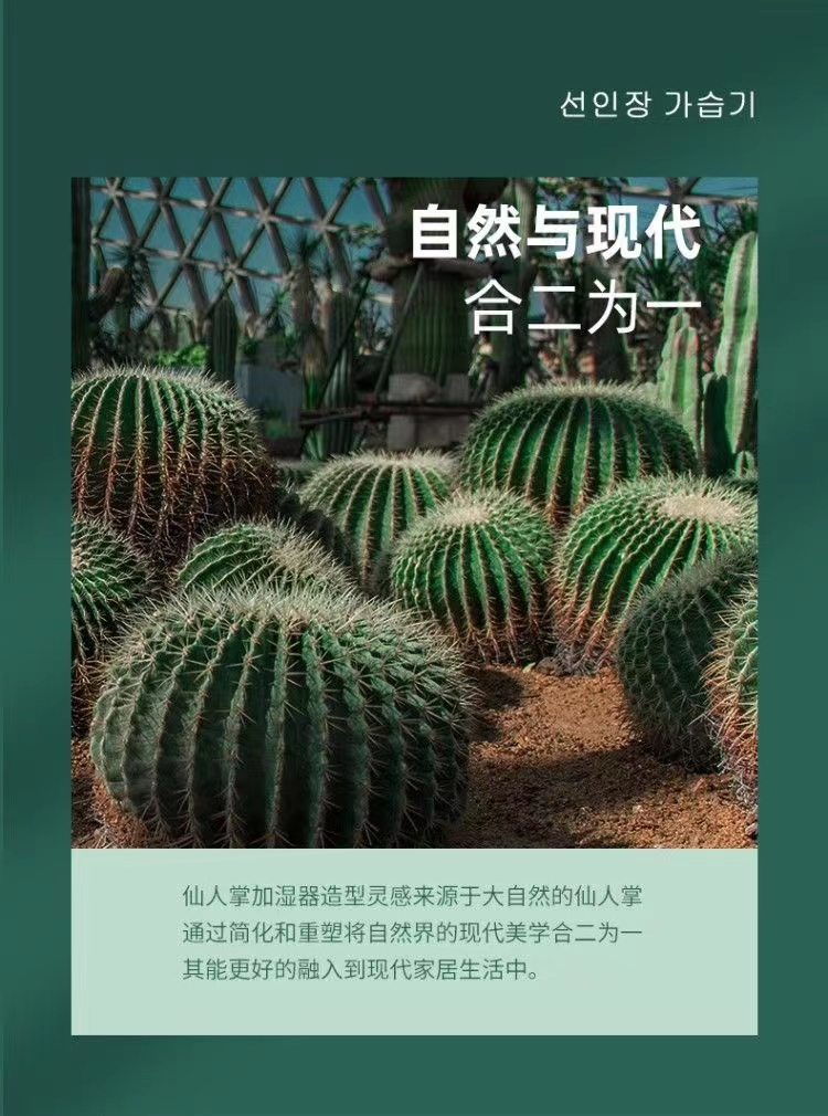 新款仙人掌小型迷你加湿器USB香薰机加湿器夜灯便携式喷雾加湿器详情3