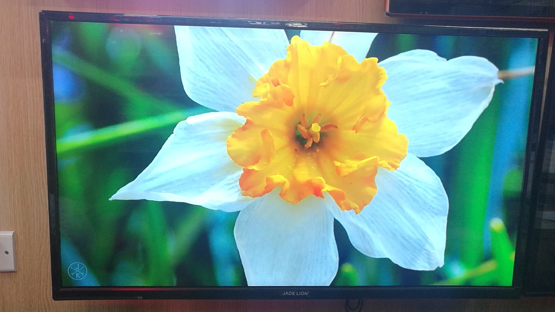 TV set: 17-24TV details Picture