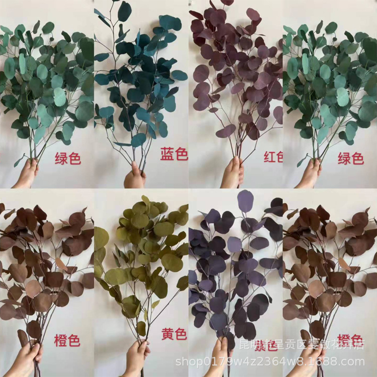 干花实物图