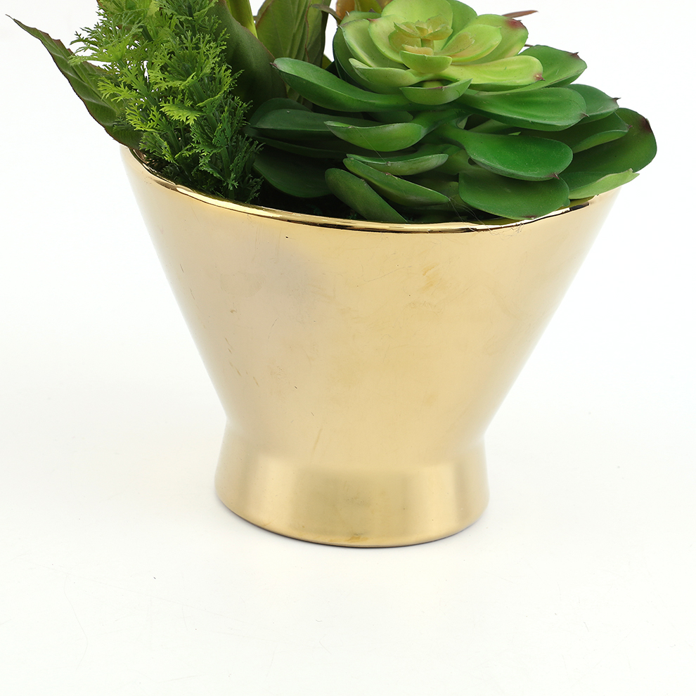 陶瓷盆/花盆/多肉植物白底实物图