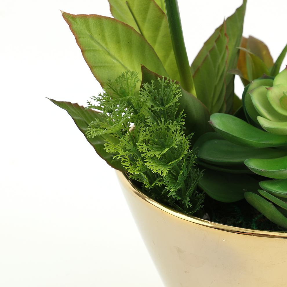 2023 6/3新款陶瓷镀金杯+仿真多肉植物 套装摆件装饰工艺品                            详情5