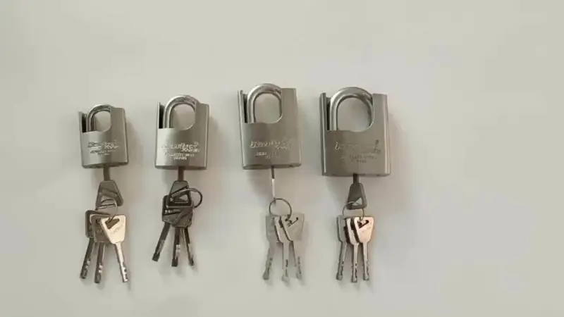 Rarlux Best-Selling Waterproof Padlock Shackle Protection Stainless Steel Padlock 40-70Mm