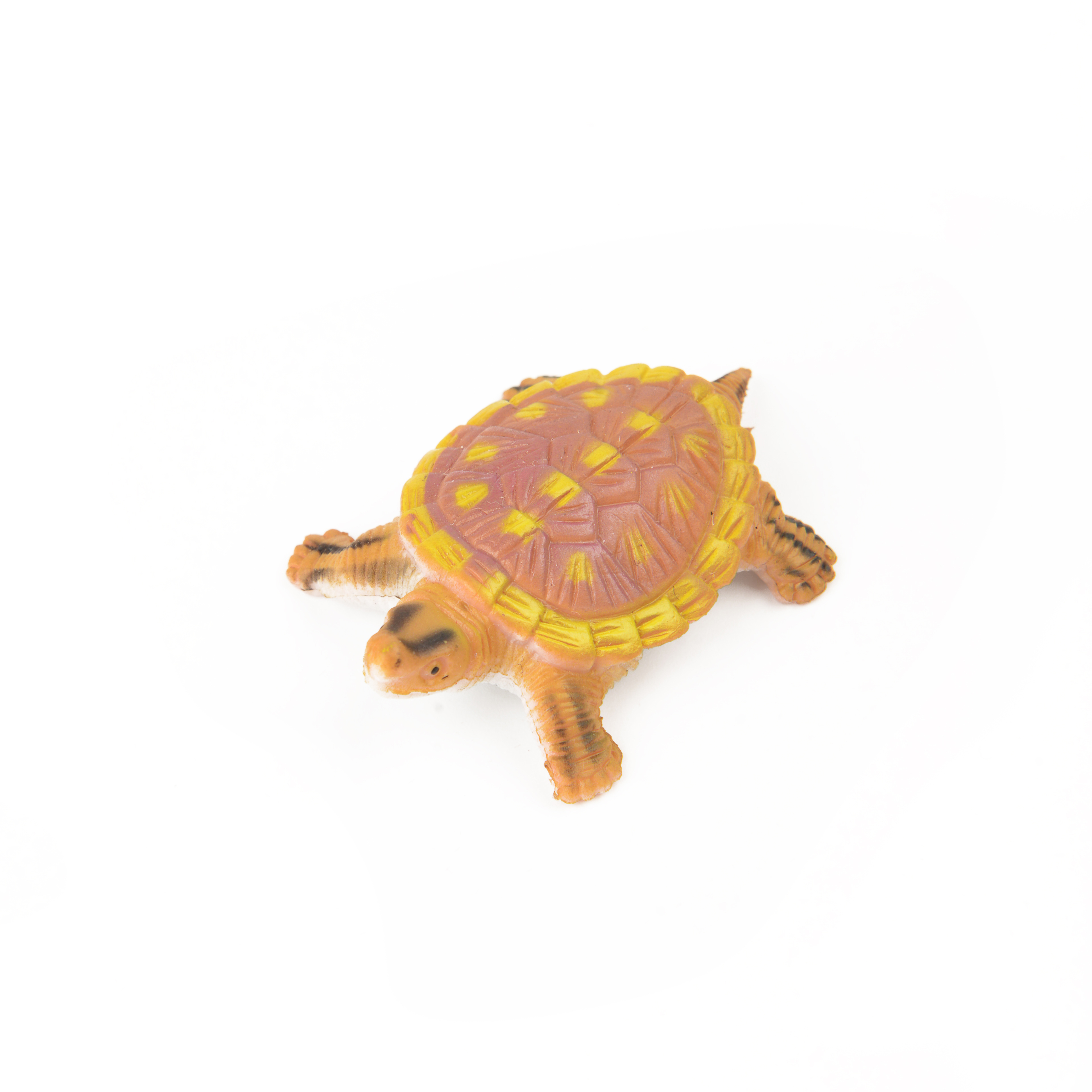 Cute tortoise children's toys create a wonderful childhood Application Scenario