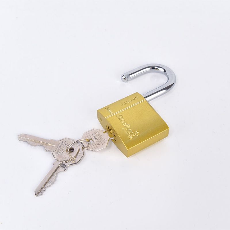 Iron Imitation Of Copper Bullet Lock Specification drawing