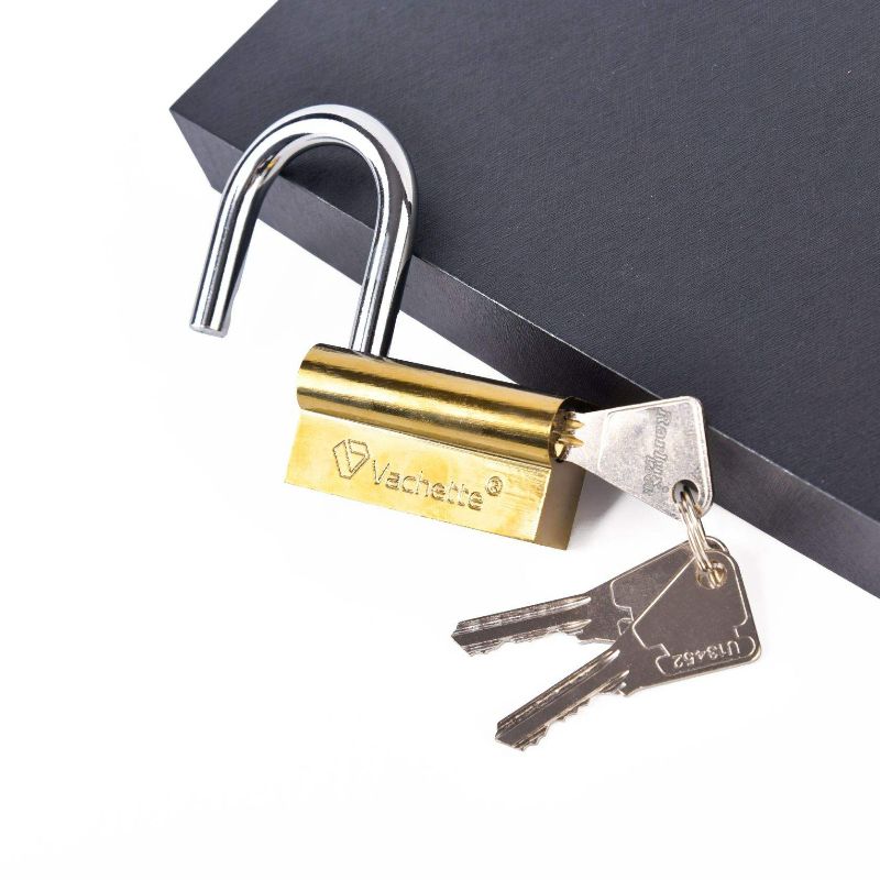 Vachette Iron Camel Lock details Picture