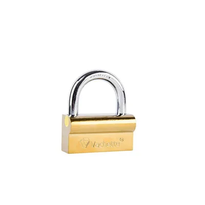Vachette Iron Camel Lock