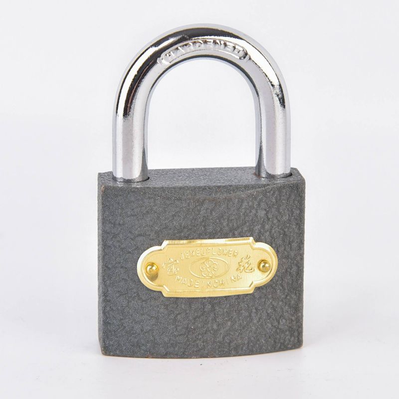 Rarlux 20 25 32 38 50 63 75Mm High Security Anti-Theft 3 Steel Key All Brass Cylinder Grey Iron Padlock Application Scenario