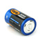 D型电池/1号电池/大号电池/干电池/锌锰电池白底实物图