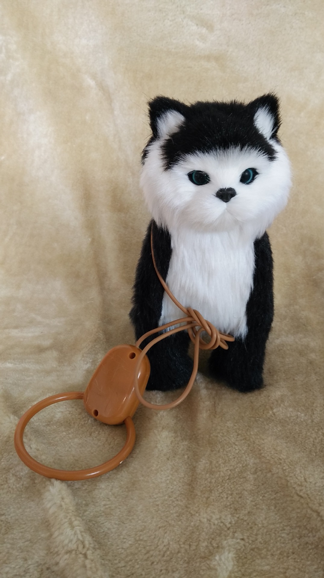 The electric simulation cat can walk, wag its tail, sing, lead a leash, be a toy for children to walk cats, and be a plush toy cat pic 2