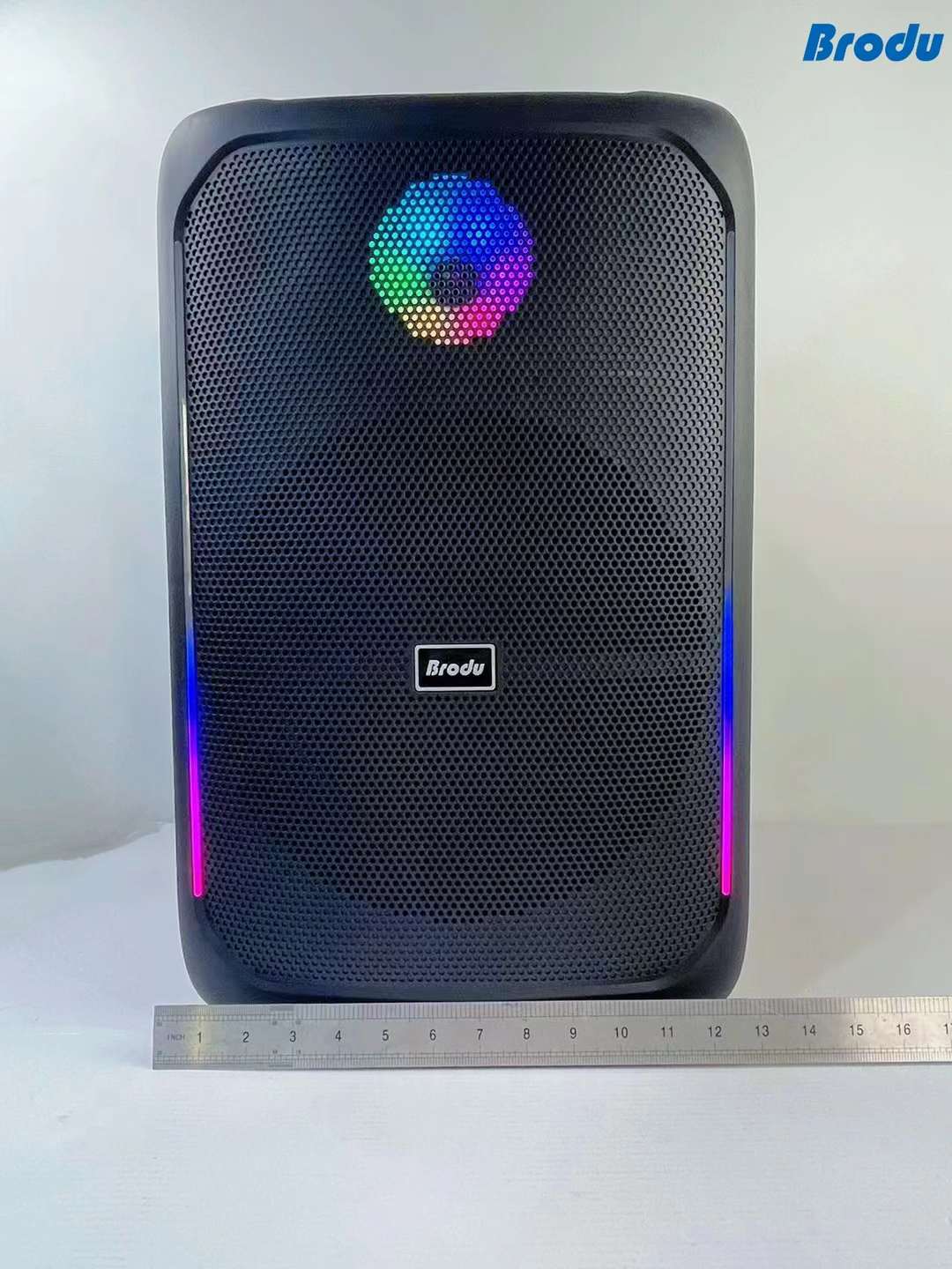 BTS-1808 12 "series portable speaker Bluetooth wireless speaker radio Wired microphone + wireless microphone Application Scenario