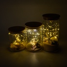 工艺摆件灯饰玻璃贝壳珊瑚景观灯DIY微型景观灯玻璃景观