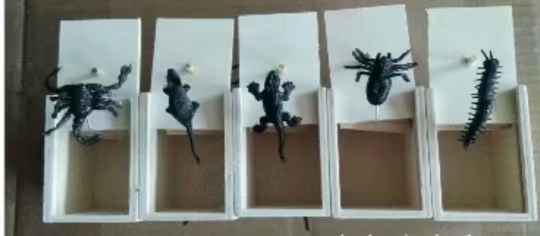 吓一跳/智益玩具/工艺品产品图
