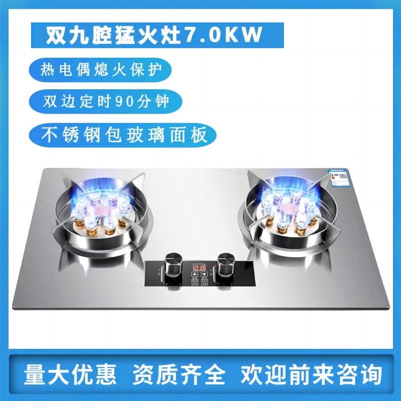 燃气灶/烧烤架/植物油家用灶/油炸锅/煤气灶产品图