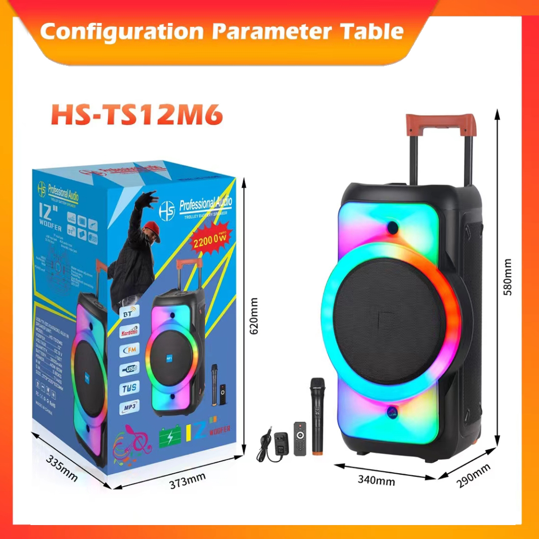 Hs-Ts12m6 12-Inch Series Portable Speaker Bluetooth Wireless Speaker Radio Wireless Microphone details Picture