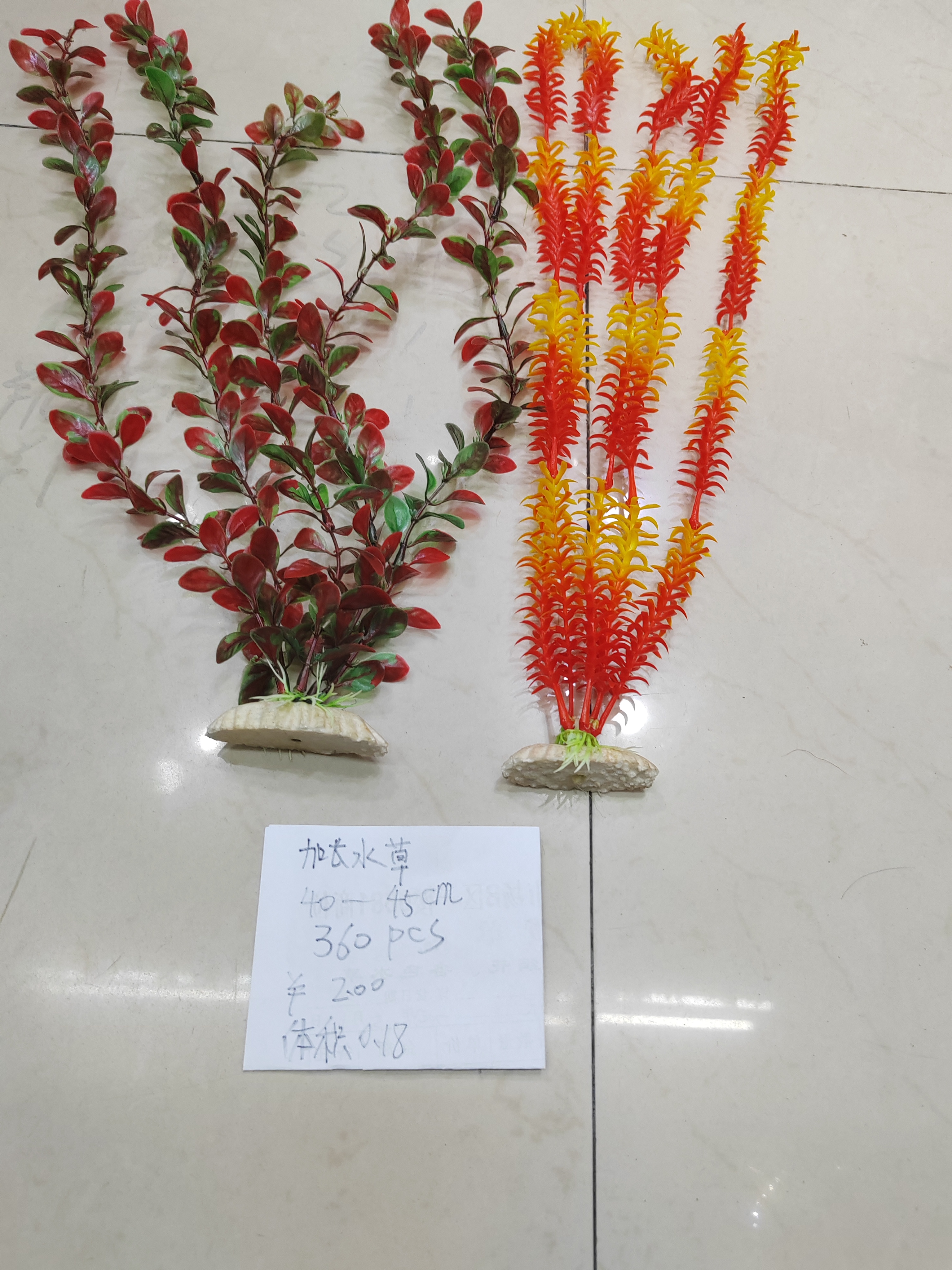 答案：水族草单品/水族草种类/水族草特性/水族草美化/水族草护理/水族草安全/水族草保养/水族草绿化/水族草精选/水族草优质.产品图