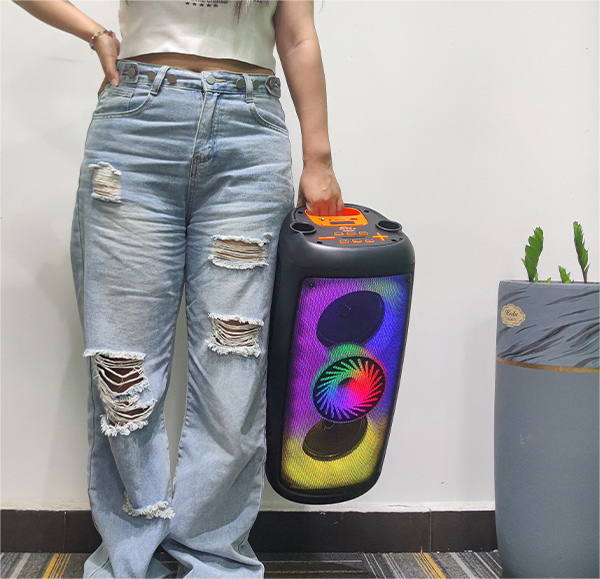 JQS-6601   2*6.5寸系列便携式音箱蓝牙无线音响收音机无线麦详情5