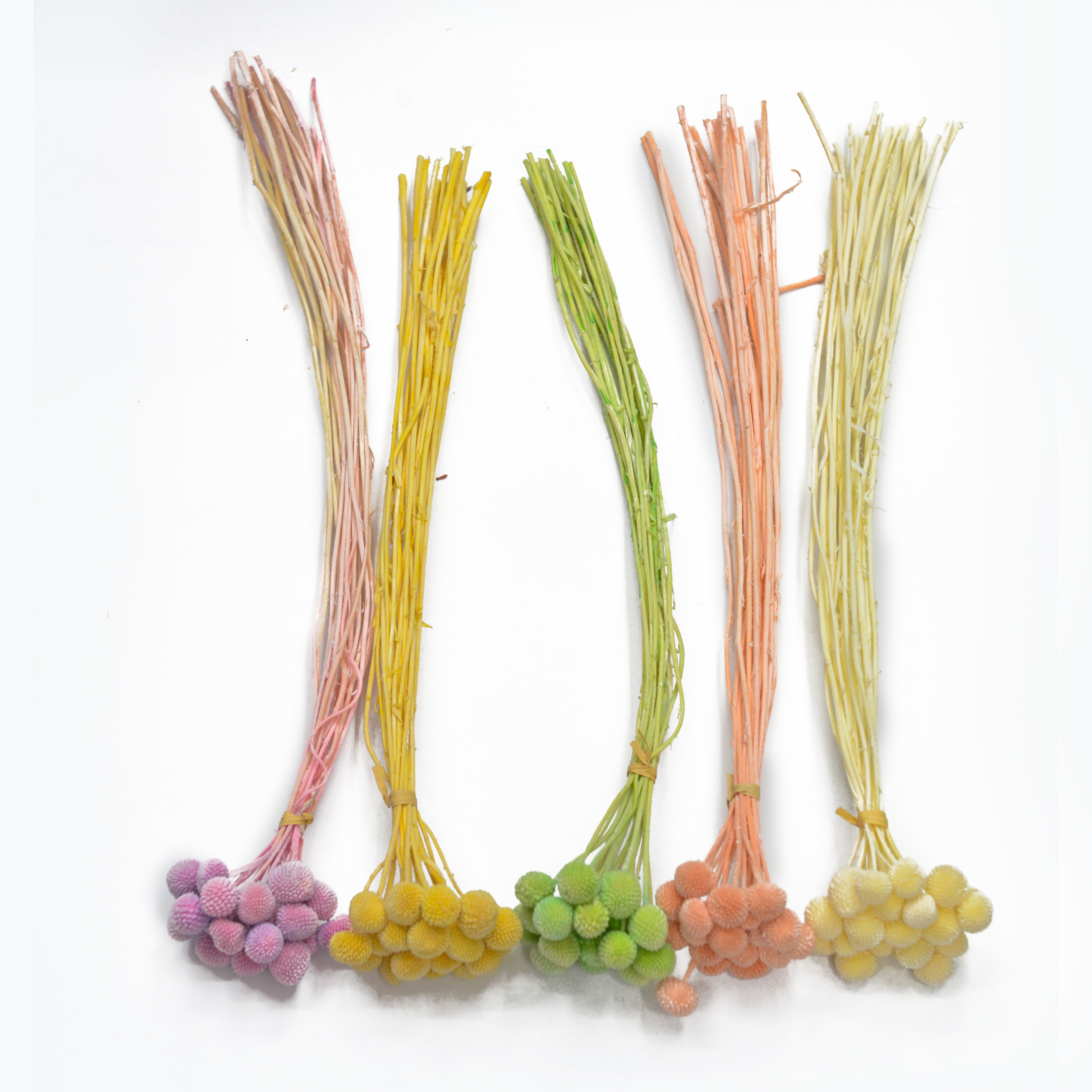 Bola de oro natural flores secas y plantas bouquet combinaciones accesorios de tiro decoración de sala de estar arreglos florales para el hogar material de bricolaje variedad de colores período de colocación largo en stock