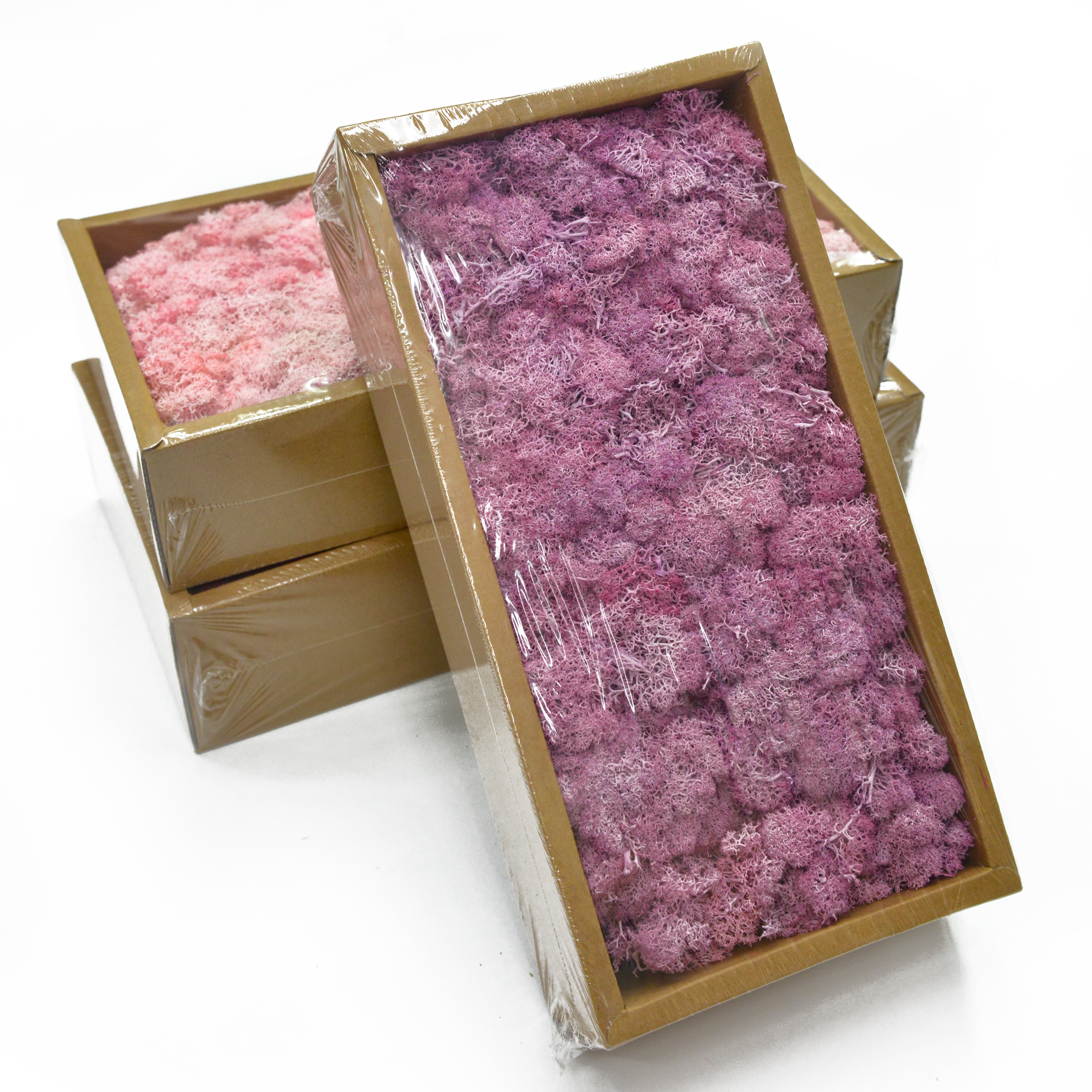 Caja musgo flores secas y plantas bouquet combinaciones accesorios de fotografía decoración de sala de estar arreglos florales para el hogar diy material variedad de colores período de colocación largo en stock Specification image