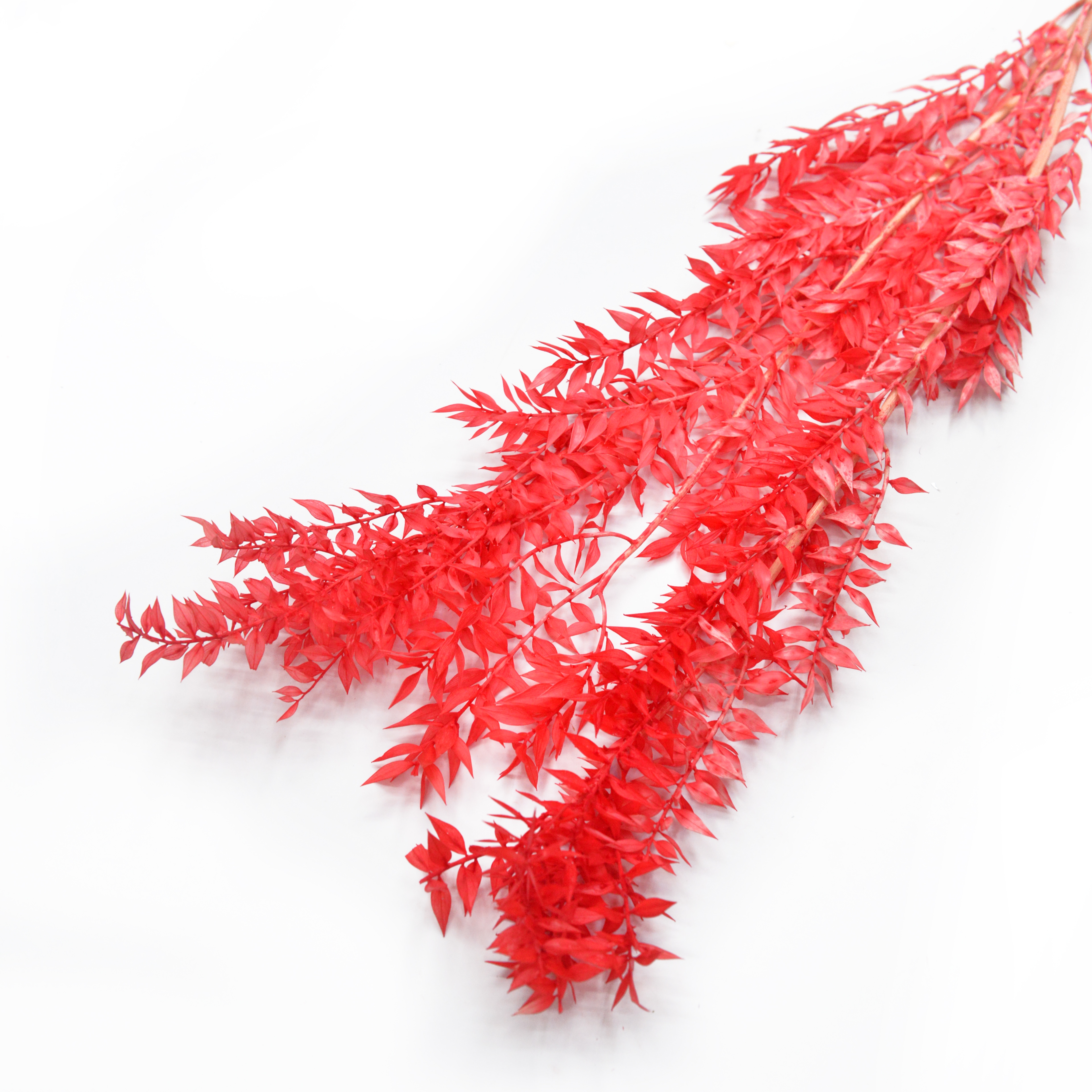 Fugui Yiran dried flowers and plants bouquet combination shooting props, living room decoration and arrangement, home flower arrangement diy materials, diverse colors, long display time, in stock Item Picture