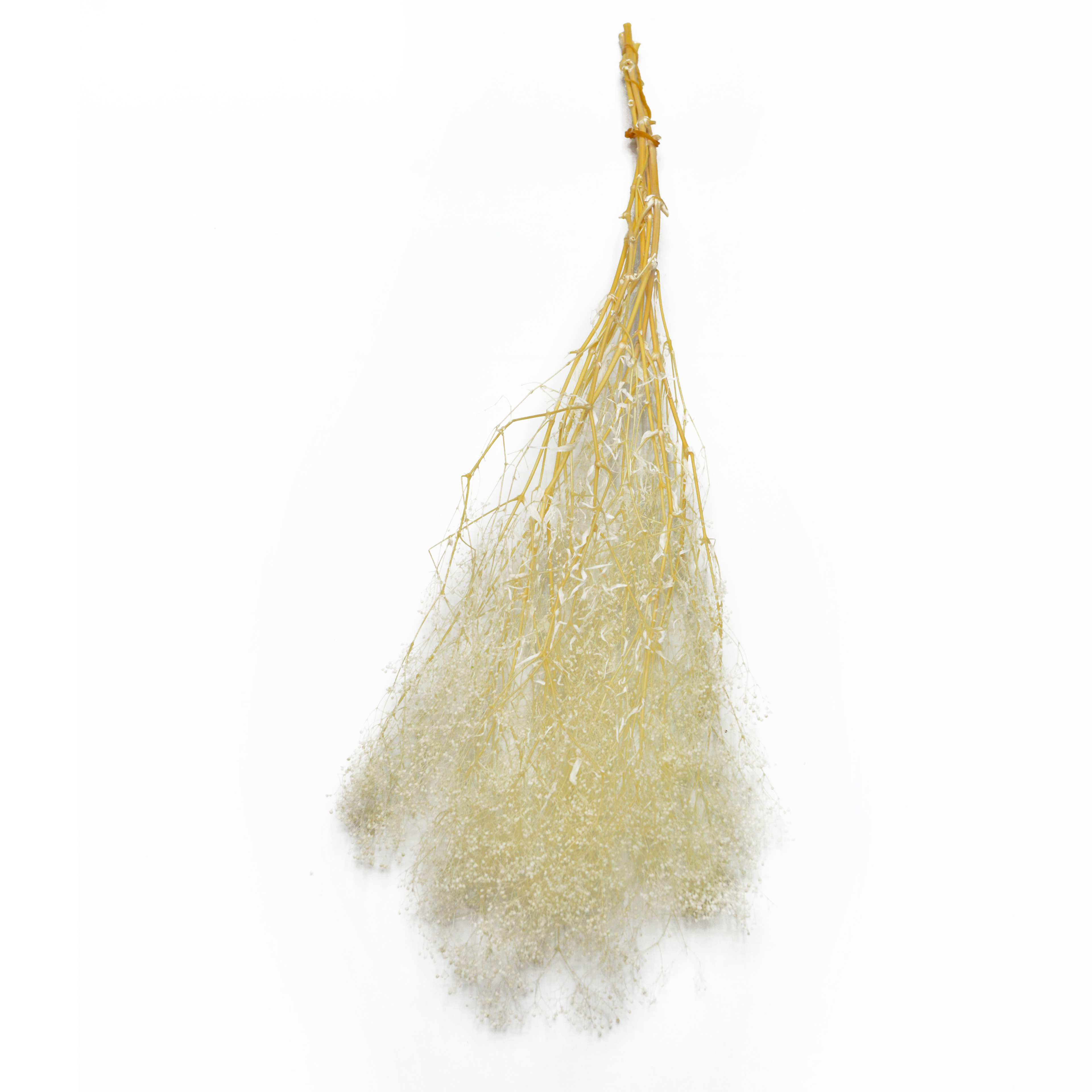 10 millones de estrellas combinaciones de flores accesorios de disparo decoración de sala de estar arreglos florales para el hogar material de bricolaje variedad de colores período de tiempo de colocación largo en stock Item Picture