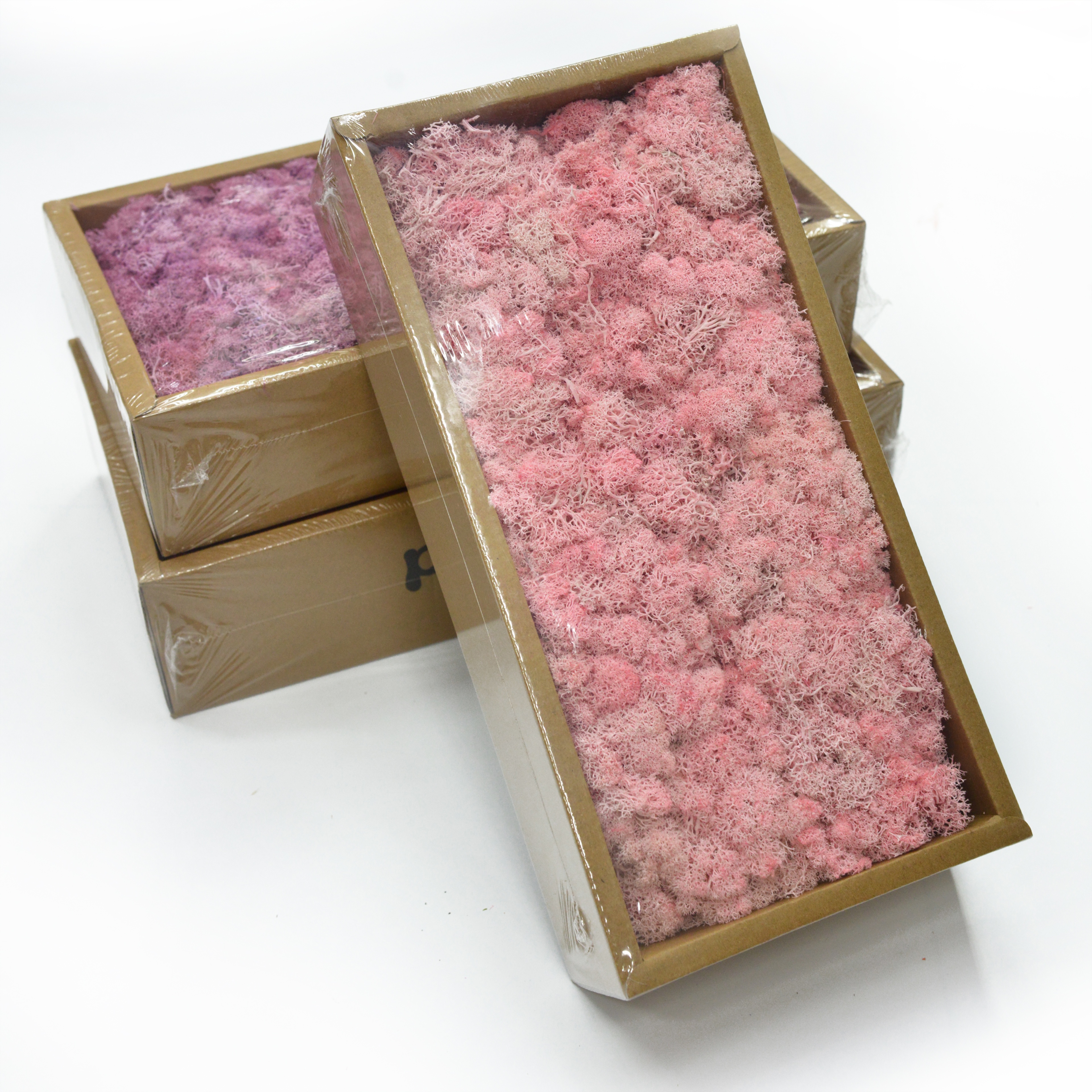 Caja musgo flores secas y plantas bouquet combinaciones accesorios de fotografía decoración de sala de estar arreglos florales para el hogar diy material variedad de colores período de colocación largo en stock details Picture