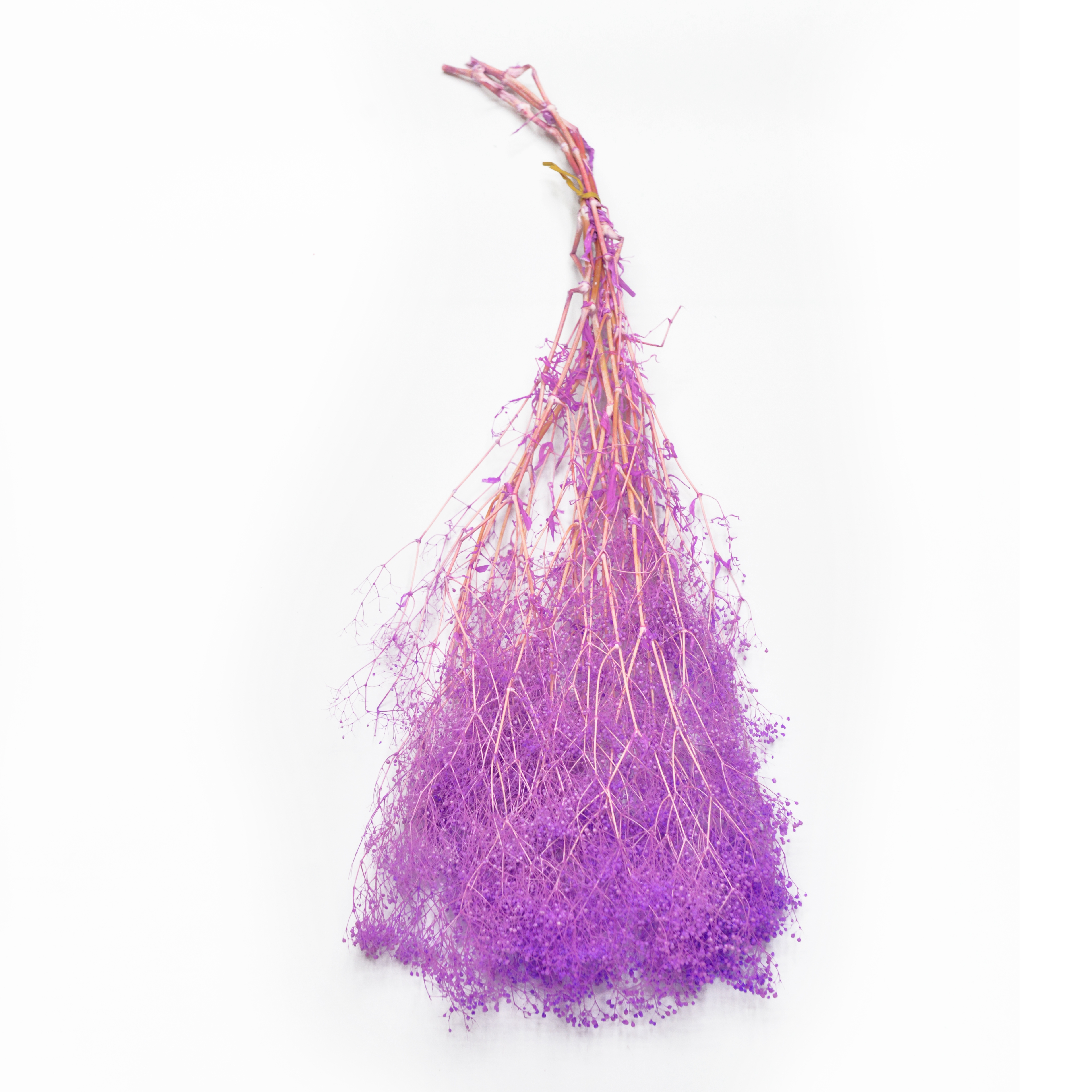 10 millones de estrellas combinaciones de flores accesorios de disparo decoración de sala de estar arreglos florales para el hogar material de bricolaje variedad de colores período de tiempo de colocación largo en stock details Picture