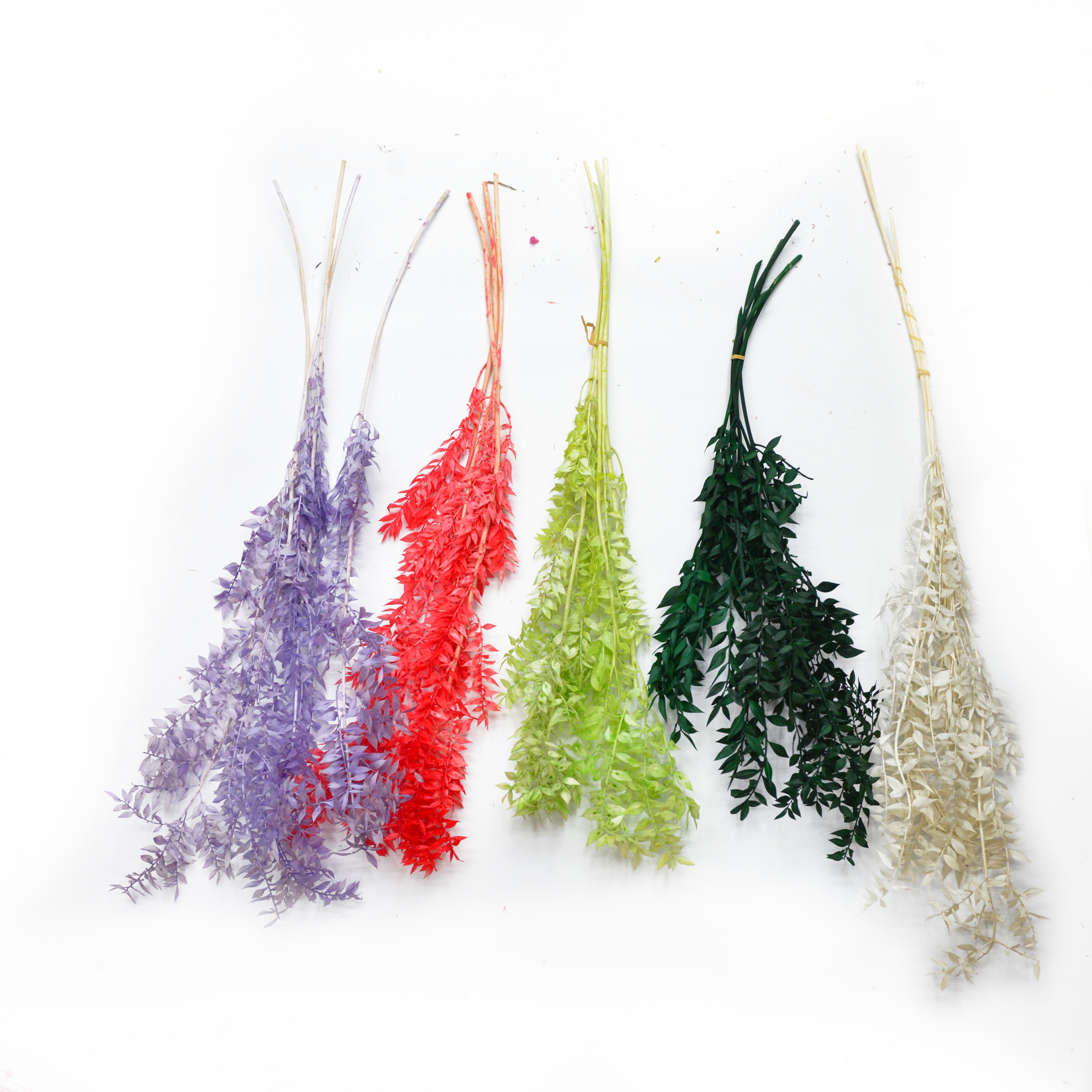 Rich yran flores secas y plantas bouquet combinación de accesorios de fotografía decoración de la sala de estar arreglos florales para el hogar diy material variedad de colores período de tiempo de colocación largo en stock