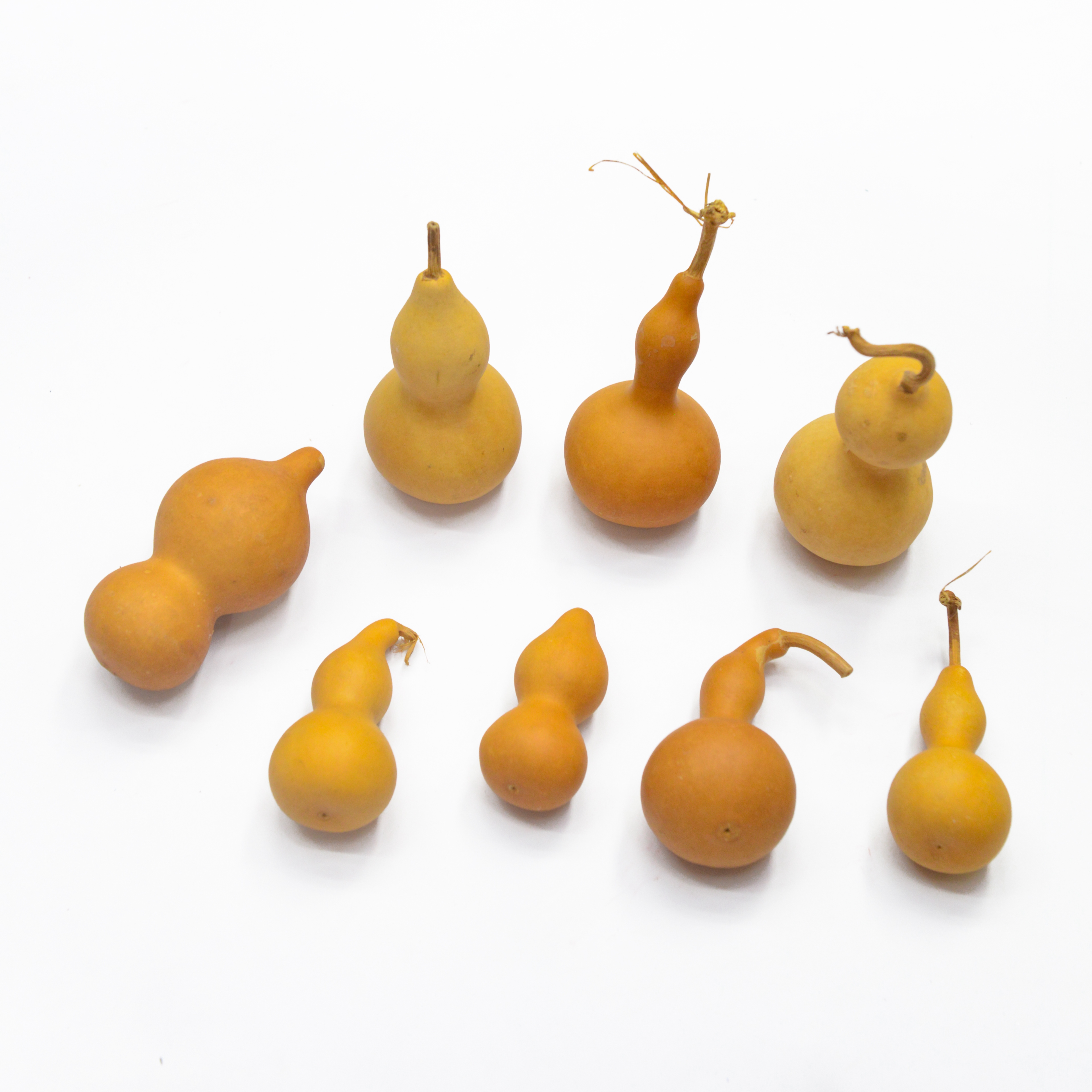 葫芦天然干花草花束组合拍摄道具客厅装饰摆设家居插花 diy材料颜色多样 摆放时间期长 现货              