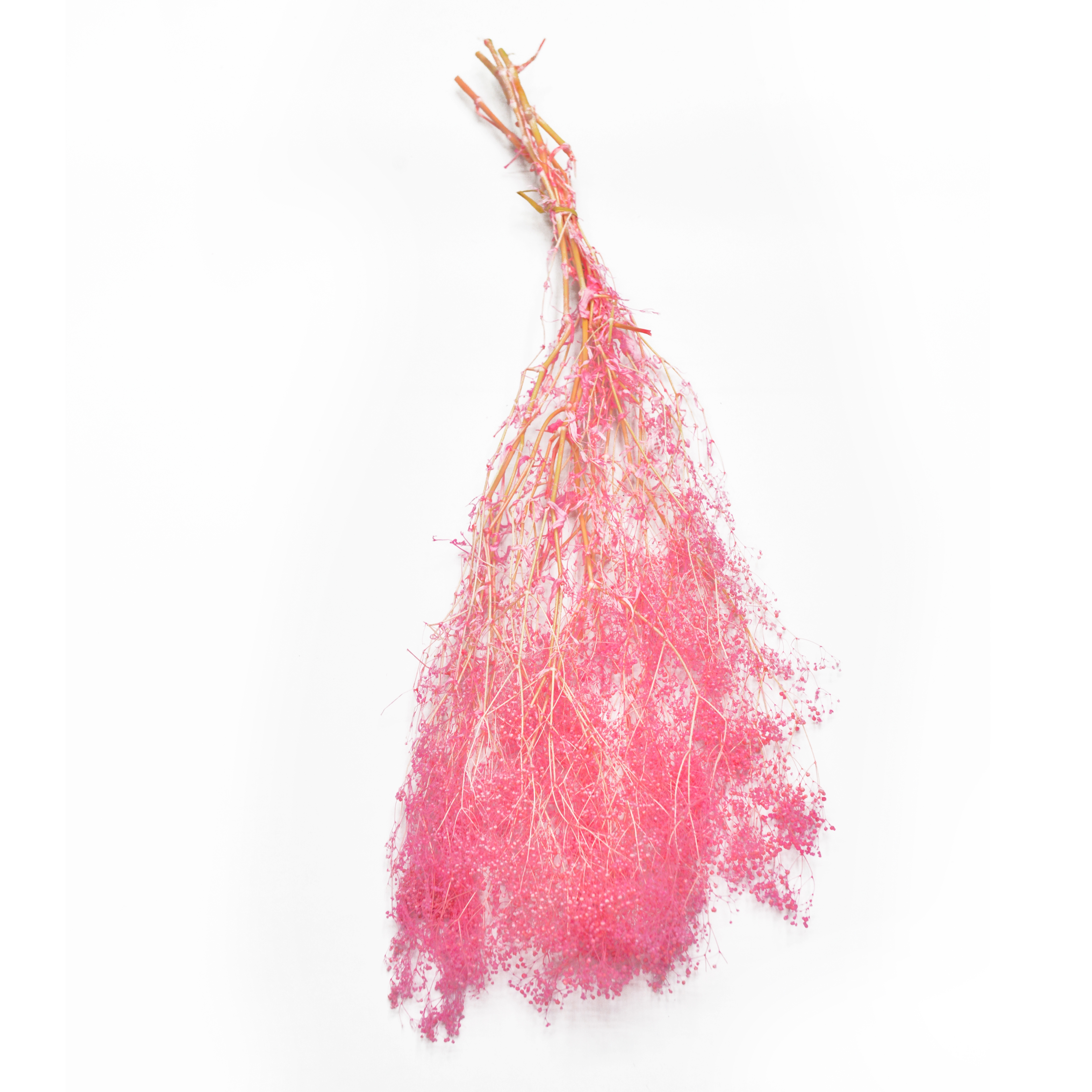 10 millones de estrellas combinaciones de flores accesorios de disparo decoración de sala de estar arreglos florales para el hogar material de bricolaje variedad de colores período de tiempo de colocación largo en stock Specification image