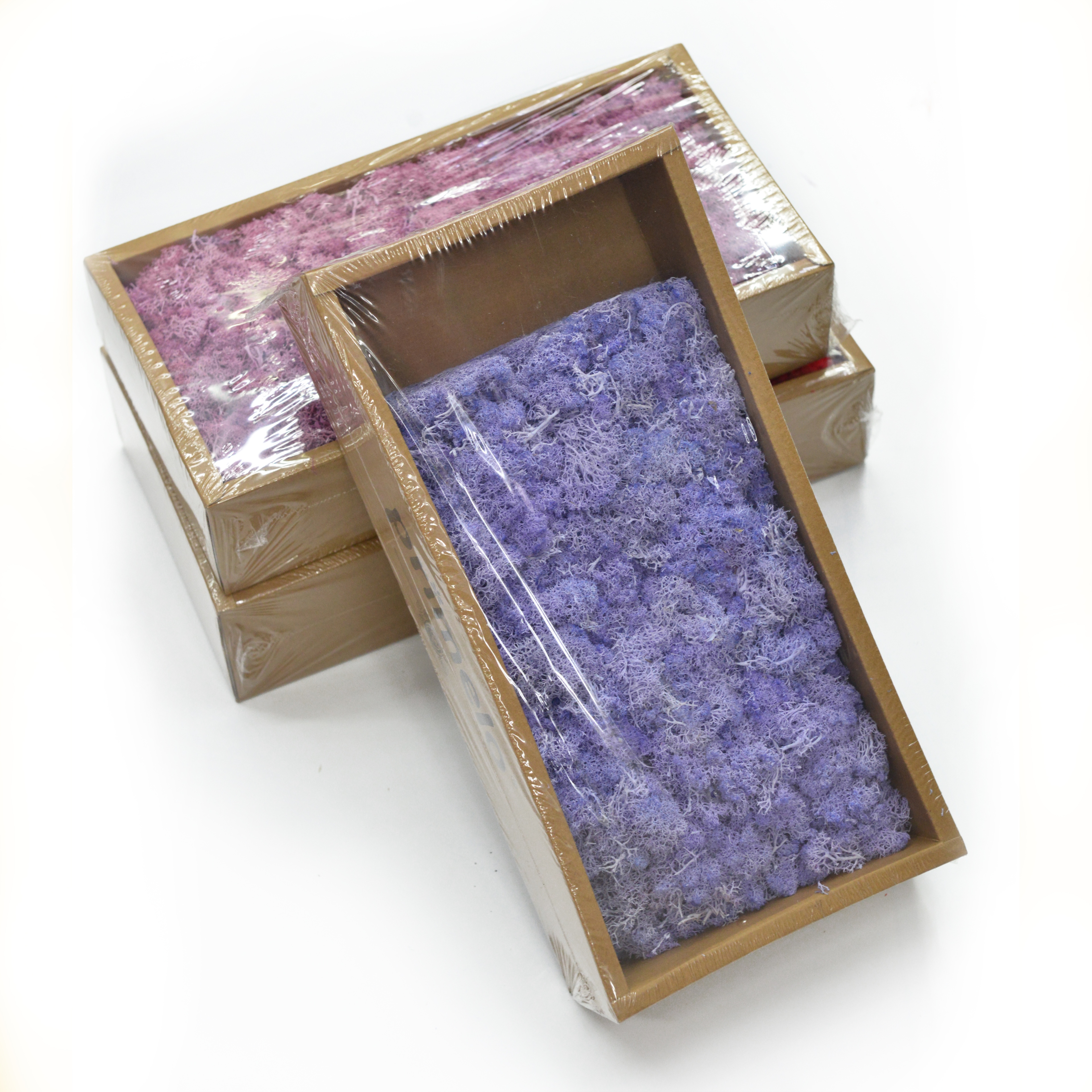 Caja musgo flores secas y plantas bouquet combinaciones accesorios de fotografía decoración de sala de estar arreglos florales para el hogar diy material variedad de colores período de colocación largo en stock