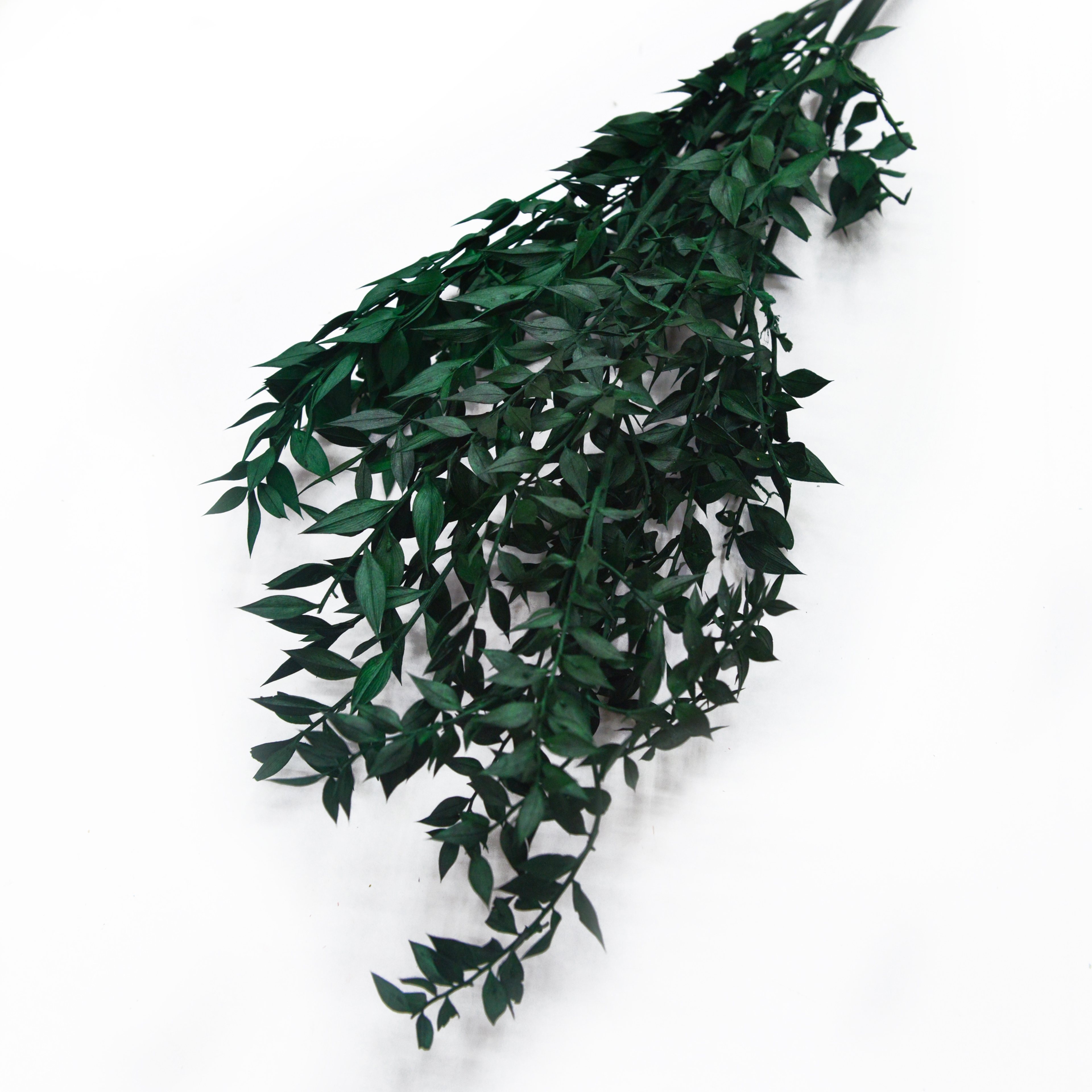 Fugui Yiran dried flowers and plants bouquet combination shooting props, living room decoration and arrangement, home flower arrangement diy materials, diverse colors, long display time, in stock Specification image