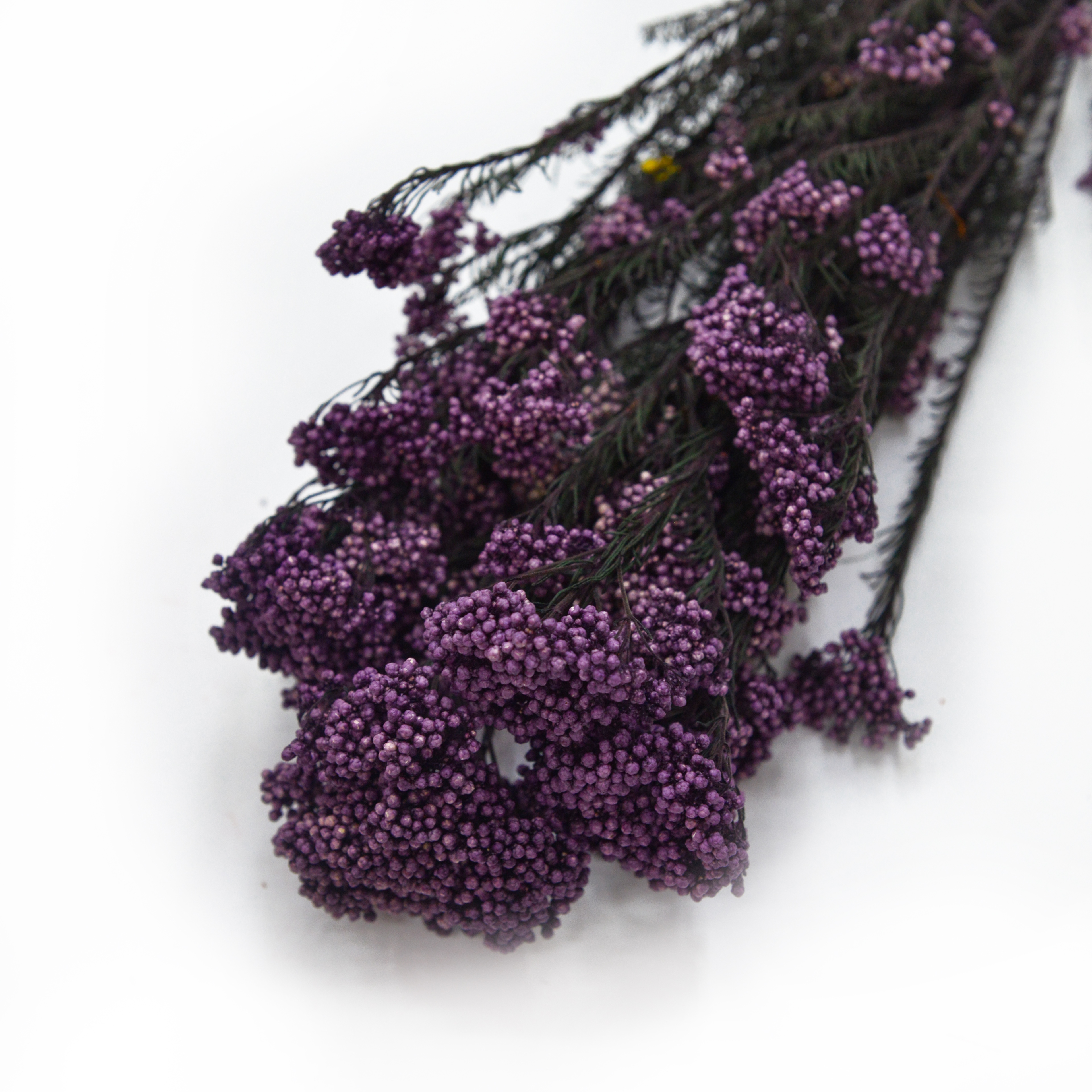 Flores de arroz flores secas naturales flores y plantas bouquet combinaciones accesorios de fotografía decoración de la sala de estar arreglos florales para el hogar diy material variedad de colores período de colocación largo en stock Item Picture