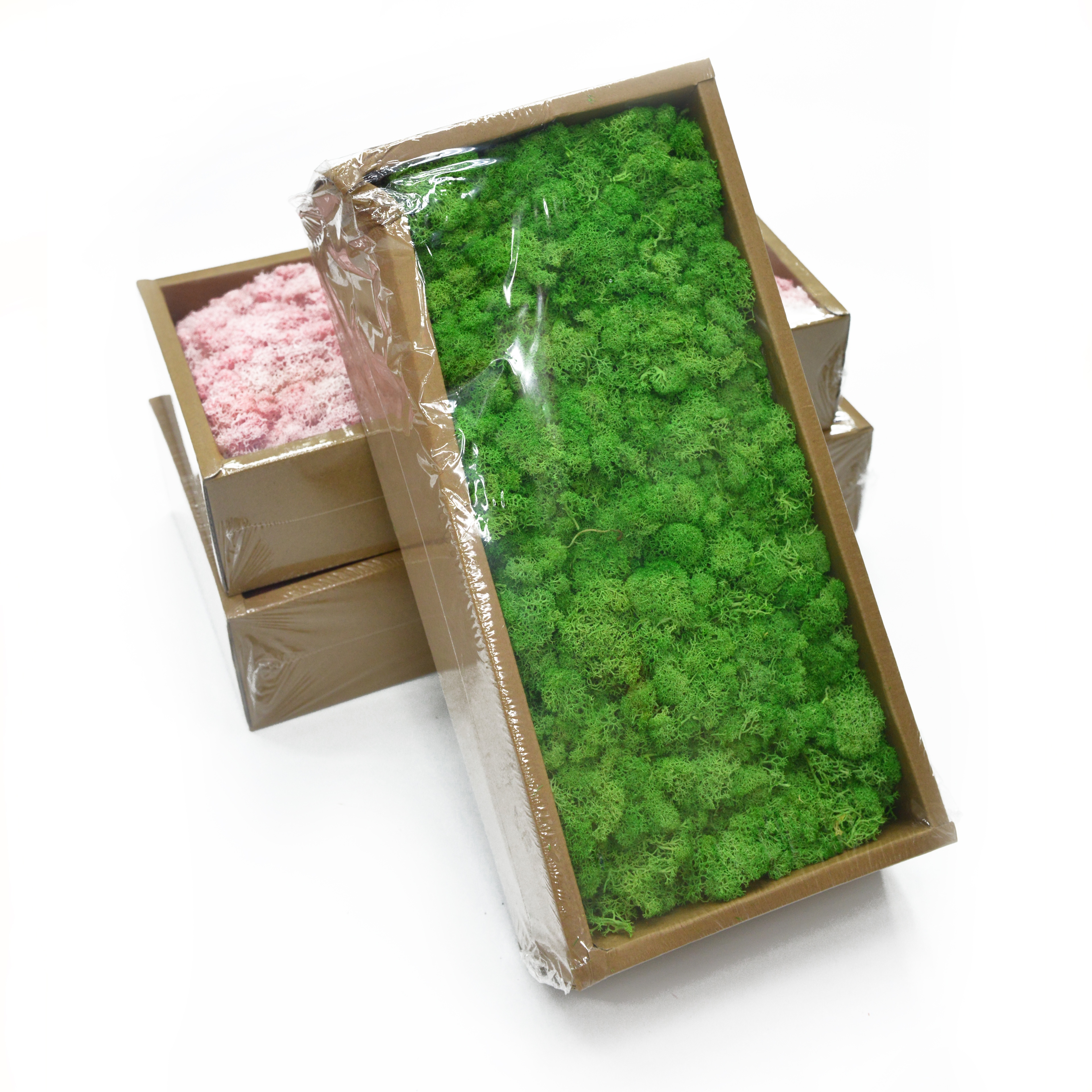 Caja musgo flores secas y plantas bouquet combinaciones accesorios de fotografía decoración de sala de estar arreglos florales para el hogar diy material variedad de colores período de colocación largo en stock Application Scenario