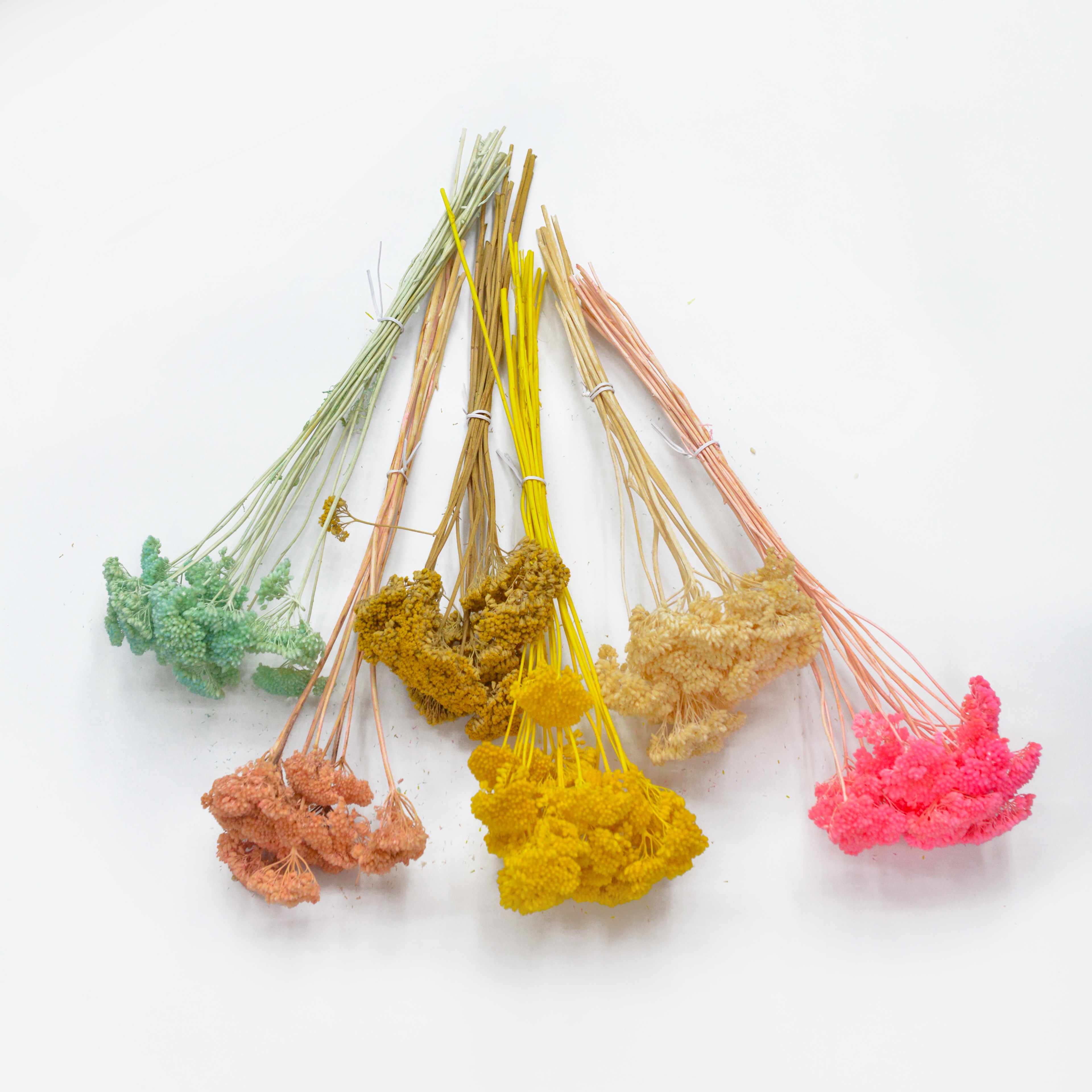 多头菊  干花草花束组合拍摄道具客厅装饰摆设家居插花 diy材料颜色多样 摆放时间期长 现货              